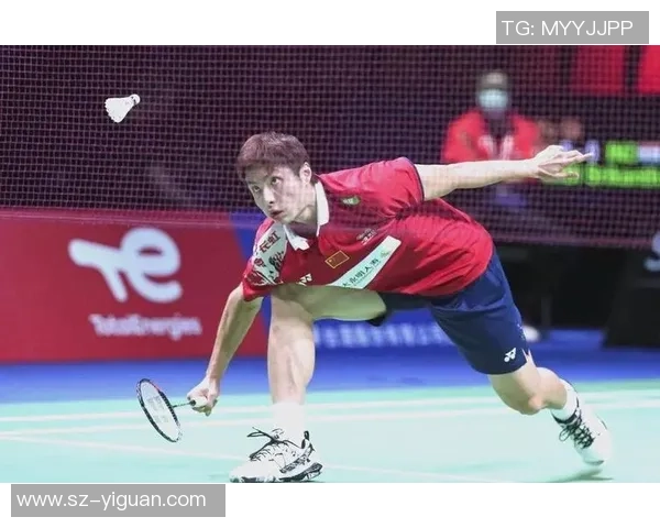 羽毛球耐力榜单揭晓北京羽毛球队荣获第五名殊荣