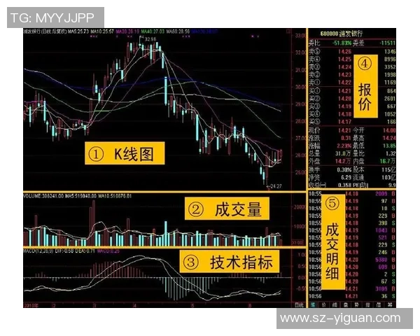 耐力较量与战术分析杭州网球队与西安网球队赛后复盘全景解析