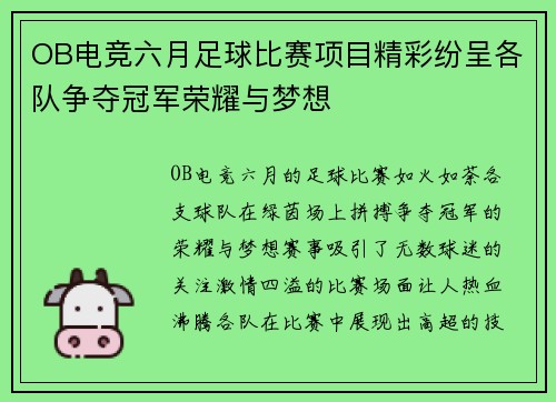 OB电竞六月足球比赛项目精彩纷呈各队争夺冠军荣耀与梦想