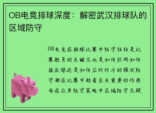 OB电竞排球深度：解密武汉排球队的区域防守